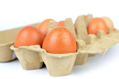 Eggs in Box Stock Photos