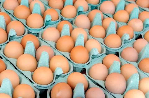 Eggs in a box Stock-Fotos