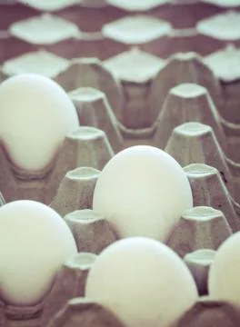 Eggs box Stock Photos