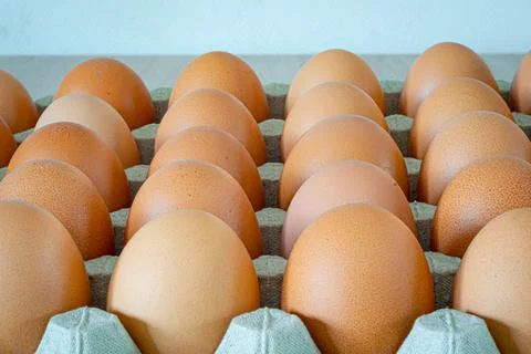 Eggs in a box Stock Photos