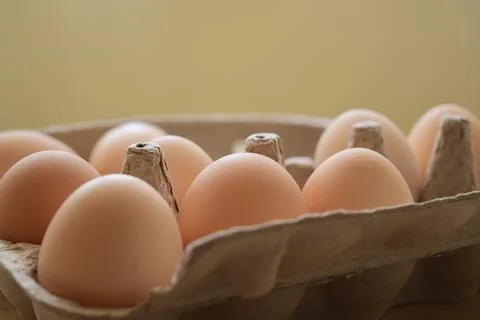 Eggs in box Stock Photos