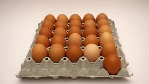 Eggs in a box - stop motion animation 動画素材 103551774