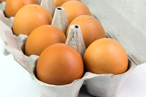 Eggs in a box on a white background Stock Photos