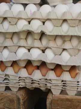 Eggs boxes market Stock Photos