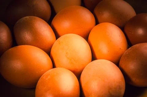 Eggs on brown dish Stock Photos