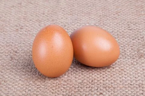 Eggs on brown sack.. Stock Photos