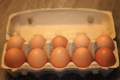 Eggs burlap rustic style 스톡 사진