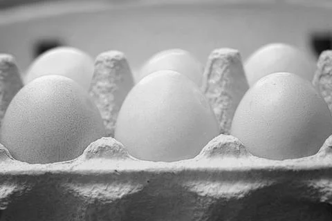 Eggs burlap rustic style Stockfoto's