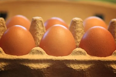 Eggs burlap rustic style 写真素材