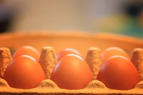Eggs burlap rustic style 스톡 사진