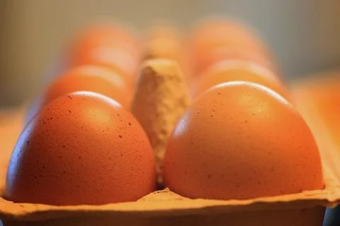 Eggs burlap rustic style 스톡 사진