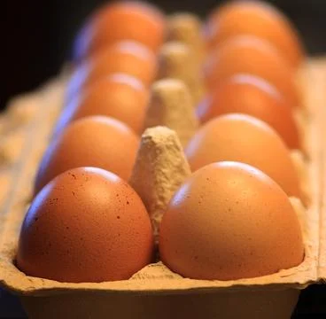 Eggs burlap rustic style 스톡 사진