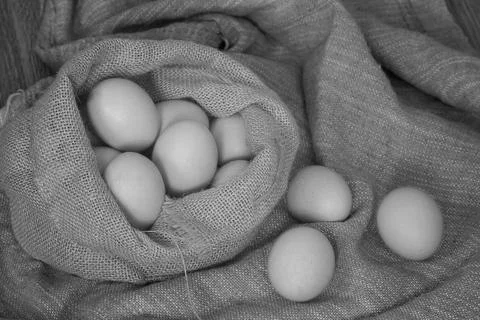 Eggs burlap rustic style 库存照片
