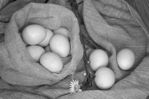 Eggs burlap rustic style 库存照片