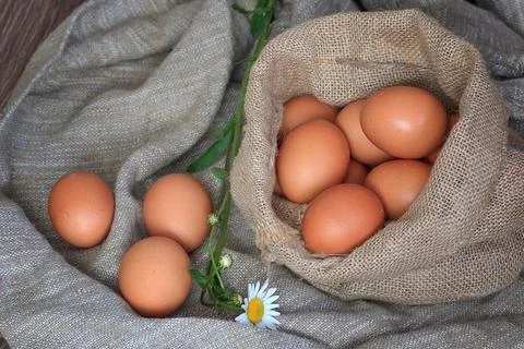 Eggs burlap rustic style Stockfoto's