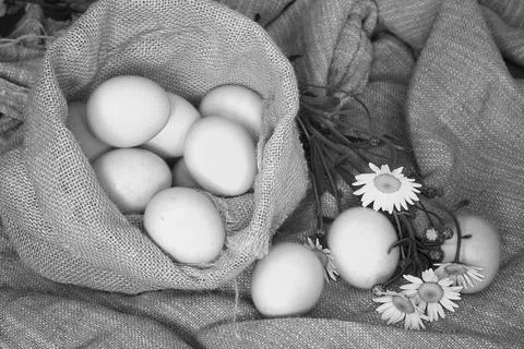 Eggs burlap rustic style 写真素材
