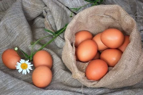 Eggs burlap rustic style Stockfoto's