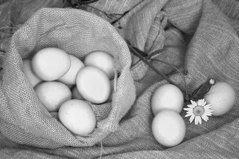 Eggs burlap rustic style 스톡 사진