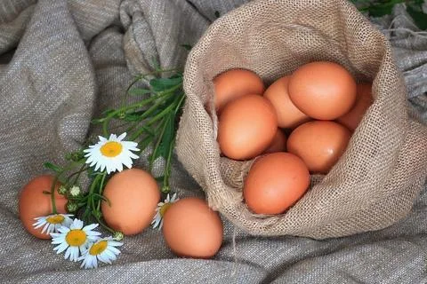 Eggs burlap rustic style 写真素材