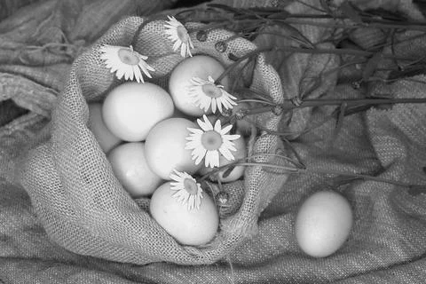 Eggs burlap rustic style 写真素材