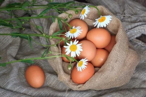 Eggs burlap rustic style Stockfoto's