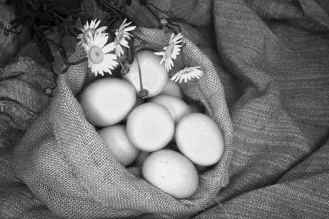 Eggs burlap rustic style Stockfoto's