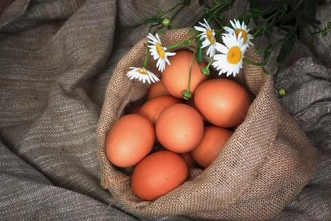 Eggs burlap rustic style 스톡 사진