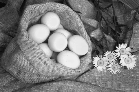 Eggs burlap rustic style 스톡 사진