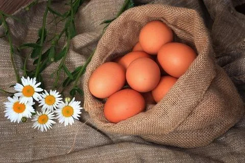 Eggs burlap rustic style 库存照片