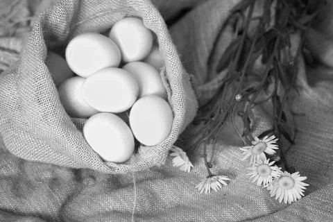 Eggs burlap rustic style Stockfoto's