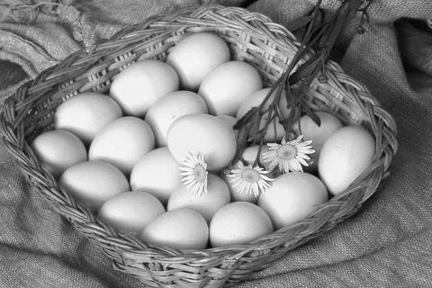 Eggs burlap rustic style 写真素材