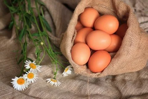 Eggs burlap rustic style 스톡 사진