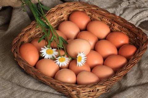 Eggs burlap rustic style 库存照片