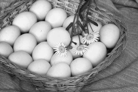 Eggs burlap rustic style 스톡 사진