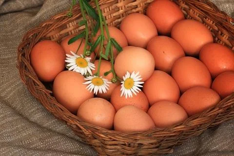 Eggs burlap rustic style 스톡 사진