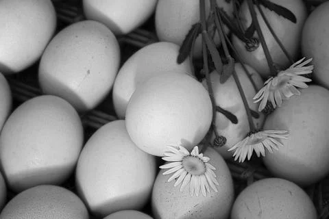 Eggs burlap rustic style 스톡 사진