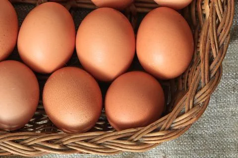 Eggs burlap rustic style 写真素材