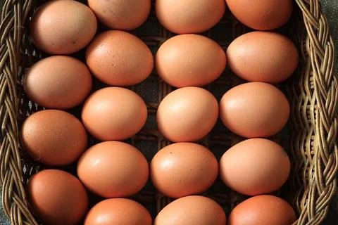 Eggs burlap rustic style 스톡 사진