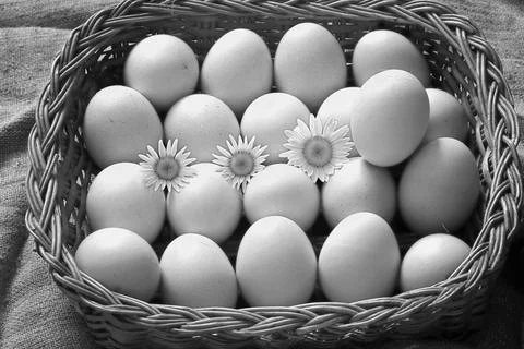 Eggs burlap rustic style Stockfoto's