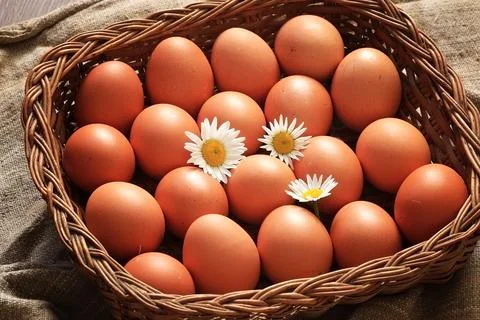 Eggs burlap rustic style Stockfoto's