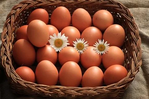 Eggs burlap rustic style 스톡 사진