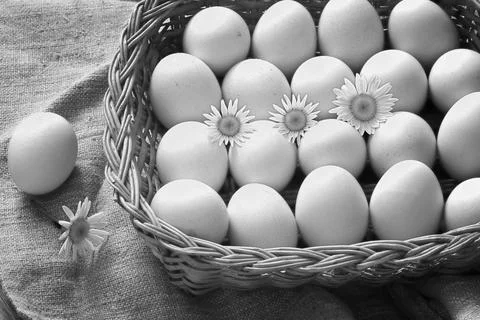 Eggs burlap rustic style 스톡 사진