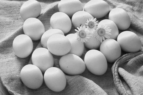 Eggs burlap rustic style Stockfoto's