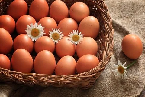 Eggs burlap rustic style 스톡 사진