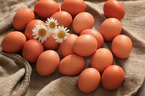 Eggs burlap rustic style 스톡 사진