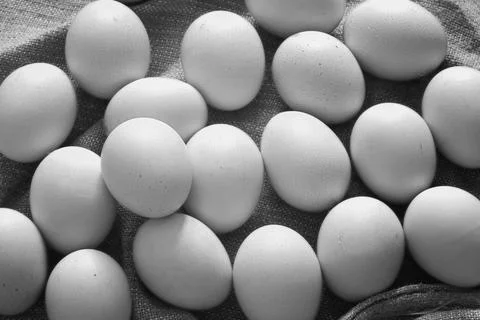 Eggs burlap rustic style Stockfoto's