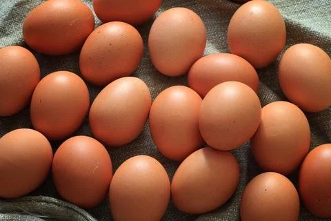 Eggs burlap rustic style Stockfoto's