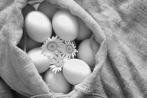 Eggs burlap rustic style 스톡 사진