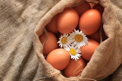Eggs burlap rustic style 스톡 사진