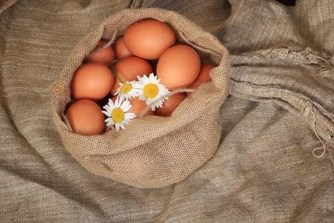 Eggs burlap rustic style 스톡 사진